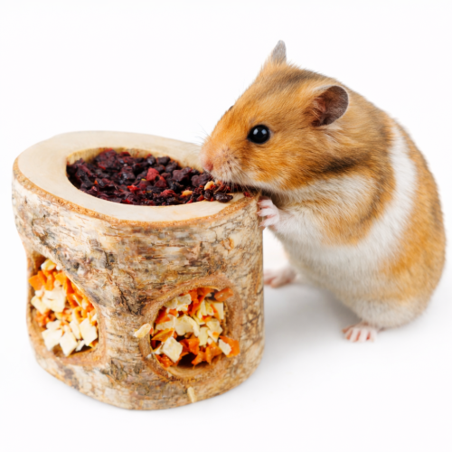 Zeleninový špalík ke kousání pro všechny hlodavce včetně králíků, morčat, myší, křečků, potkanů a osmáků degu od ParrotPlanet.cz