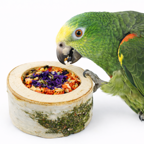 Zeleninová rozkoš – malá pizza – křupavá pochoutka pro všechny papoušky od ParrotPlanet.cz