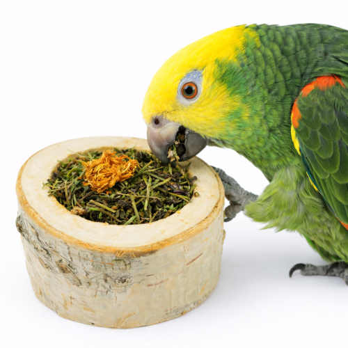 Ziołowa Przyjemność – Pizza Mała - przysmak dla wszystkich papug od ParrotPlanet.plBylinková radost – malá pizza – pochoutka pro všechny papoušky od ParrotPlanet.cz