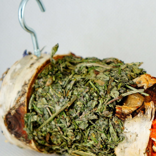 Bylinkovo-zeleninový špíz – pro všechny hlodavce, včetně králíků, morčat, myší, křečků, potkanů a pískomilů od ParrotPlanet.cz