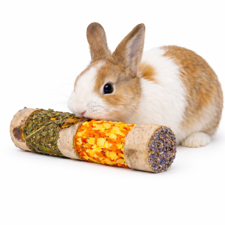 Bylinkovo-zeleninový špíz – pro všechny hlodavce, včetně králíků, morčat, myší, křečků, potkanů a pískomilů od ParrotPlanet.cz