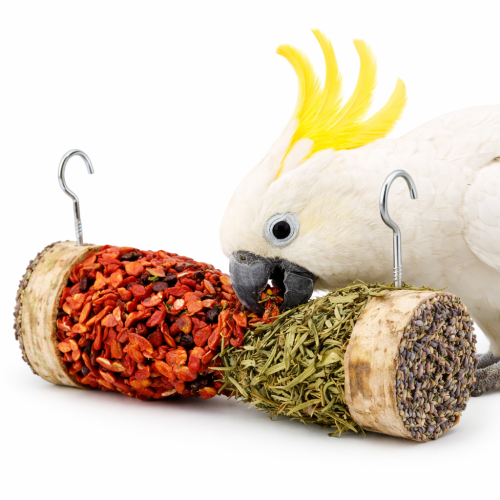 Bylinná a zeleninová klepsydra se směsí obilovin pro všechny papoušky od ParrotPlanet.cz