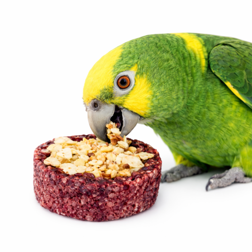 Chutné tunely Řepa–Jablko – pro všechny papoušky od ParrotPlanet.cz