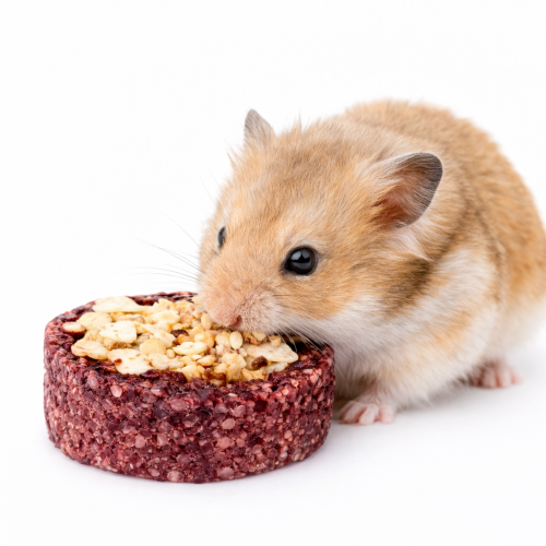 Chutné tunely Řepa–Jablko – pro všechny hlodavce, včetně králíků, morčat, myší, křečků, potkanů a pískomilů  od ParrotPlanet.cz