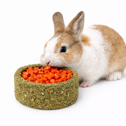 Chutné tunely Mrkev–Petržel – pro všechny hlodavce, včetně králíků, morčat, myší, křečků, potkanů a pískomilů od ParrotPlanet.cz