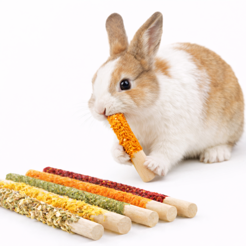 Tyčinky se zeleninou – pochoutka pro všechny hlodavce, včetně králíků, morčat, myší, křečků, potkanů a pískomilů od ParrotPlanet.cz