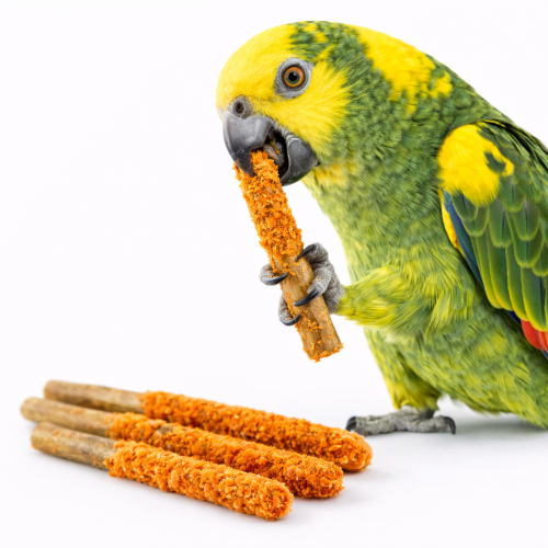 Tyčinky s mrkví – lahodná pochoutka pro všechny papoušky od ParrotPlanet.cz