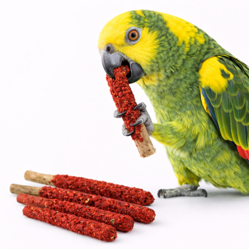 Paličky s řepou – zdravá svačina pro papoušky od ParrotPlanet.cz