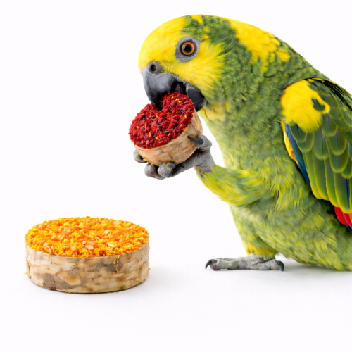 Březové tyčinky se zeleninou a měsíčkem – zdravá svačina a hračka pro papoušky – 70 g od ParrotPlanet.cz