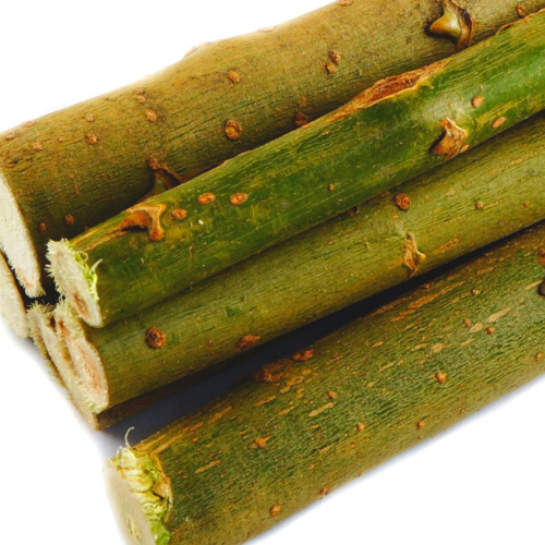 Mladé vrbové větvičky pro hlodavce | Přírodní hračka a pochoutka 100 g od ParrotPlanet.cz