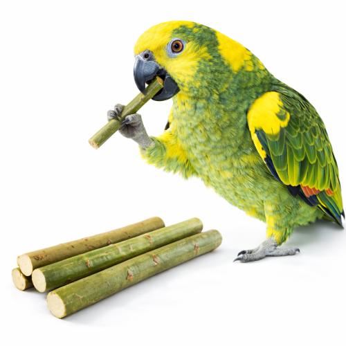 Mladé vrbové větvičky pro papoušky | Přírodní hračka a pamlsek 100 g od ParrotPlanet.cz