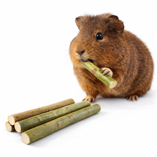 Mladé vrbové větvičky pro hlodavce | Přírodní hračka a pochoutka 100 g od ParrotPlanet.cz