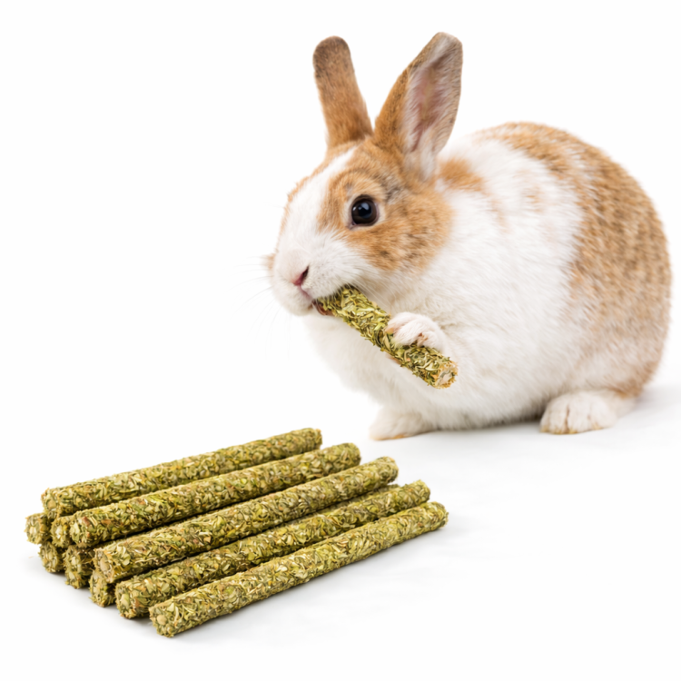 Lísčkové větvičky – s jetelí a jahodou – chutná pochoutka pro všechny hlodavce 60 g  od ParrotPlanet.cz