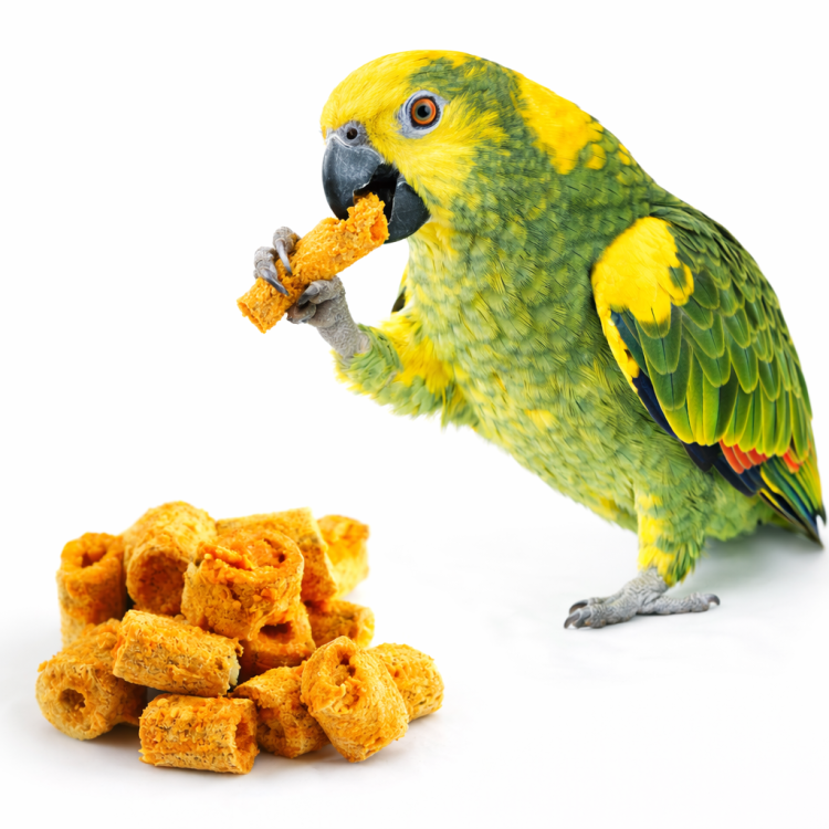 Křupavý topinambur – mrkev | Lahodná pochoutka | pro všechny papoušky 60 g od ParrotPlanet.cz