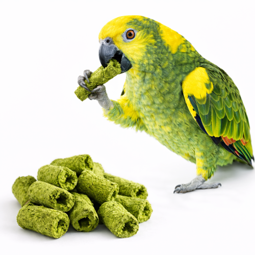 Křupavý topinambur – petržel | Lahodná pochoutka | pro všechny papoušky 60 g od ParrotPlanet.cz