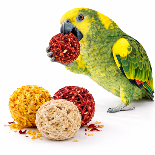 Ratanové míčky XXL s pastinákem, ibiškem a měsíčkem | Chutná pochoutka | Hračka do pařátku | pro všechny papoušky – 3 ks od ParrotPlanet.cz