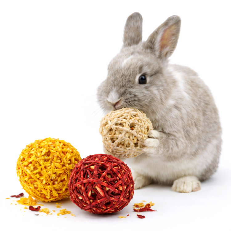 Ratanové míčky XXL pro hlodavce s pastinákem, ibiškem a měsíčkem – přírodní hračka a pochoutka od ParrotPlanet.cz