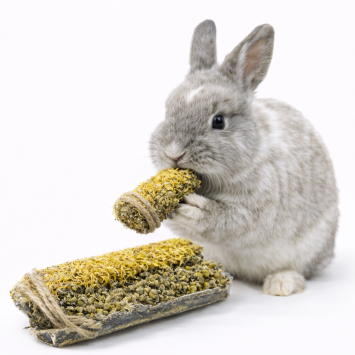 Klas pro znalce se slézem, měsíčkem a smilem – pro všechny hlodavce od ParrotPlanet.cz