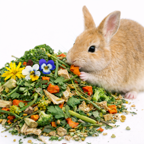 Zeleninová pochoutka pro králíky a morčata – přírodní směs zeleniny a bylin 400 g od ParrotPlanet.cz