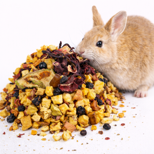 Ovocné bylinky pro králíky a morčata – přírodní ovocno-bylinná směs 100 g od ParrotPlanet.cz