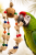 Začarovaný Kokos – hračka pro všechny papoušky od ParrotPlanet.cz