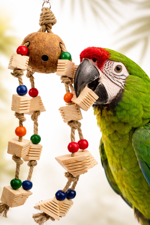 Začarovaný Kokos – hračka pro všechny papoušky od ParrotPlanet.cz