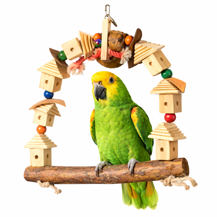 Krásná houpačka  – hračka pro malé papoušky od ParrotPlanet.cz