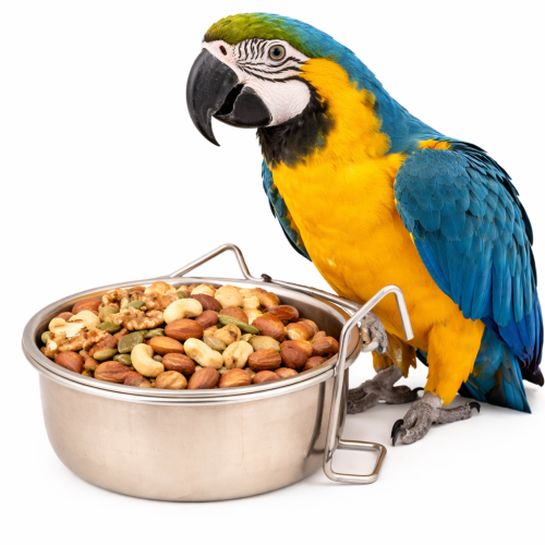 Miseczka metalowa ze stali nierdzewnej M wieszana - 600ml od ParrotPlanet.pl