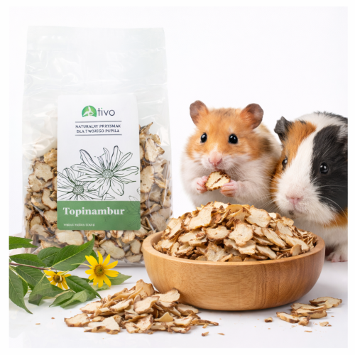 TIVO – Topinambur pro všechny hlodavce 100 g od ParrotPlanet.cz