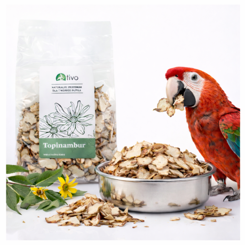 TIVO - Topinambur pro všechny papoušky 100 g ParrotPlanet.cz