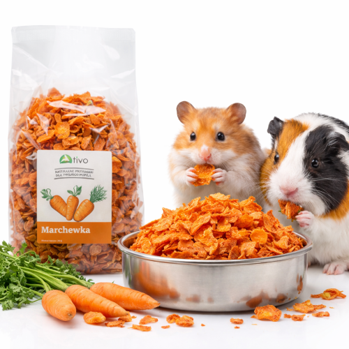 Křupavá mrkev pro hlodavce – přírodní zeleninový pamlsek | 125 g od ParrotPlanet.cz