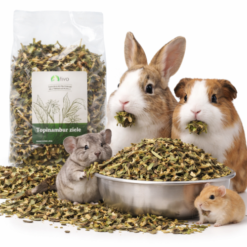 Nadzemní část topinamburu pro hlodavce – přírodní rostlinný doplněk | 150 g od ParrotPlanet.cz