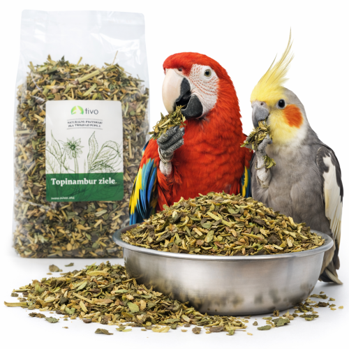 TIVO -  Topinambur Bylina pro všechny papoušky 150 g od ParrotPlanet.cz