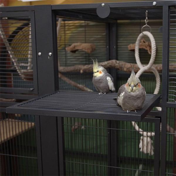 Montana Palace II antracitová – velká klec pro malé a střední papoušky ParrotPlanet.cz