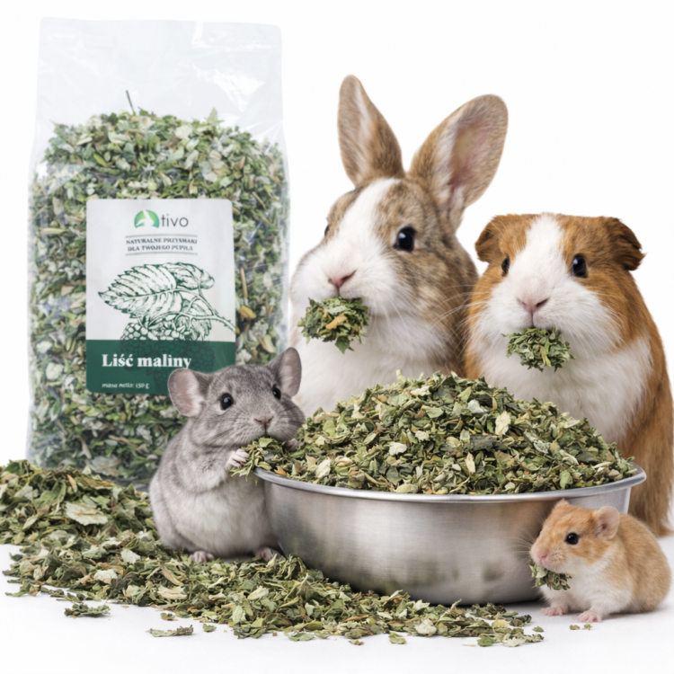 List maliníku pro hlodavce – přírodní rostlinný doplněk | 150 g od ParrotPlanet.cz