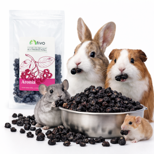 Křupavá aronie pro hlodavce – přírodní ovocný pamlsek | 70 g od ParrotPlanet.cz