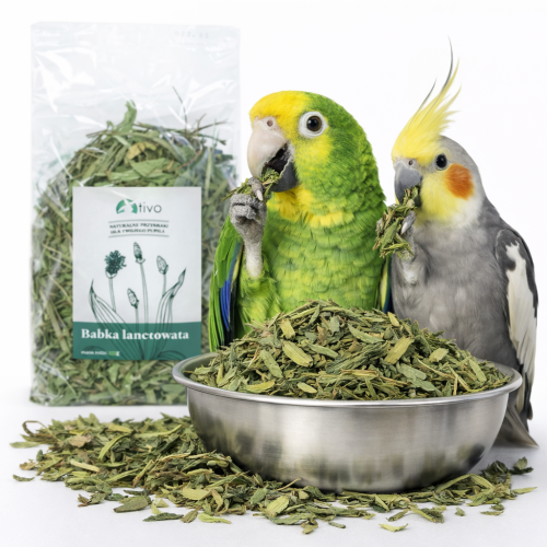 TIVO - Poupava pro všechny papoušky 150 g od ParrotPlanet.cz
