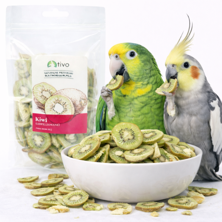 Křupavé KiWi – celé lyofilizované ovoce 20 g od ParrotPlanet.cz