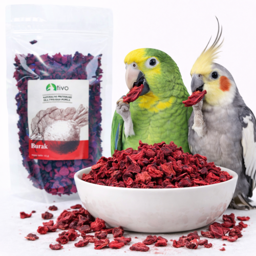 Křupavá řepa pro všechny papoušky 125 god ParrotPlanet.cz