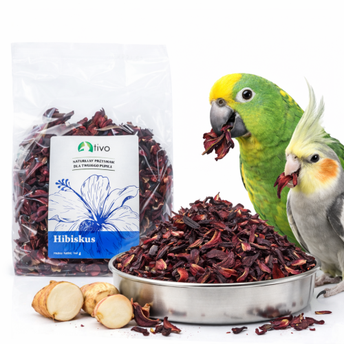 Listy ibišku – ibišek pro všechny papoušky 100 g od ParrotPlanet.cz