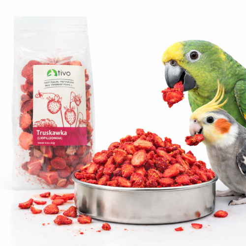 Křupavá jahoda – celá lyofilizovaná plodina 20 g od  ParrotPlanet.cz