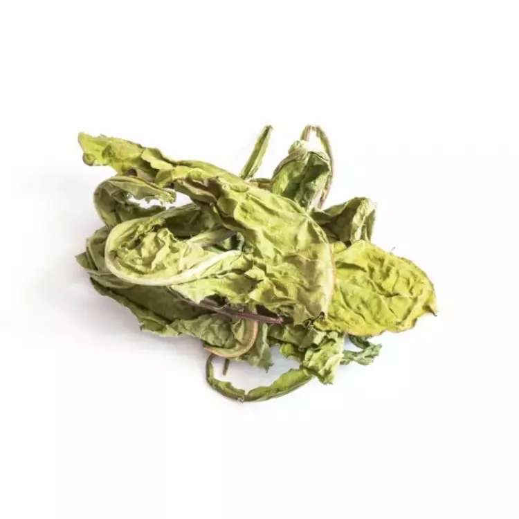 TIVO Listy pampelišky pro hlodavce – přírodní rostlinný doplněk | 100 g od ParrotPlanet.cz