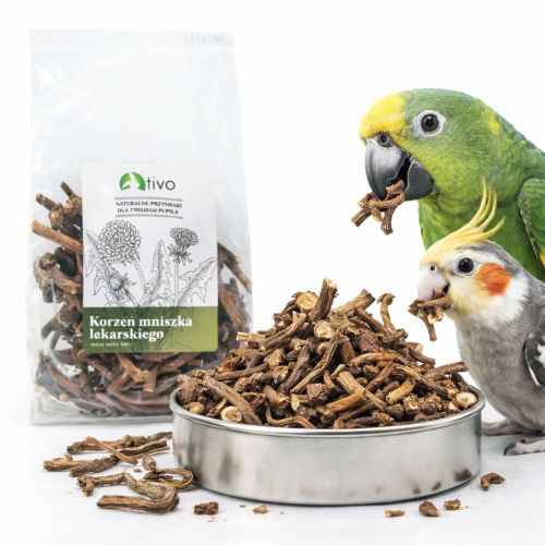 TIVO – Kořen pampelišky pro všechny papoušky 100 g od ParrotPlanet.cz