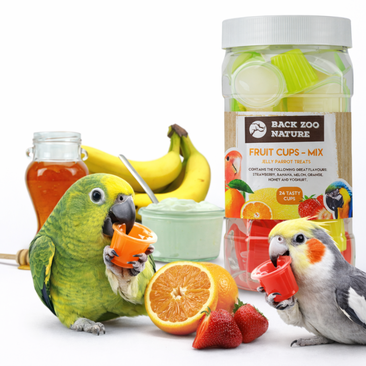 Galaretki dla papug Mix smaków 24 sztuki od ParrotPlanet.pl