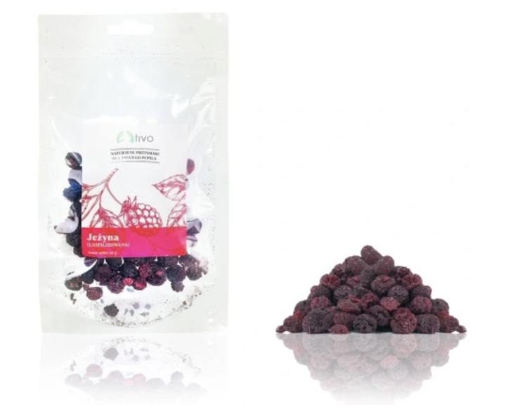 Křupavá lyofilizovaná ostružina pro hlodavce – přírodní ovocný pamlsek | 20 g od ParrotPlanet.cz