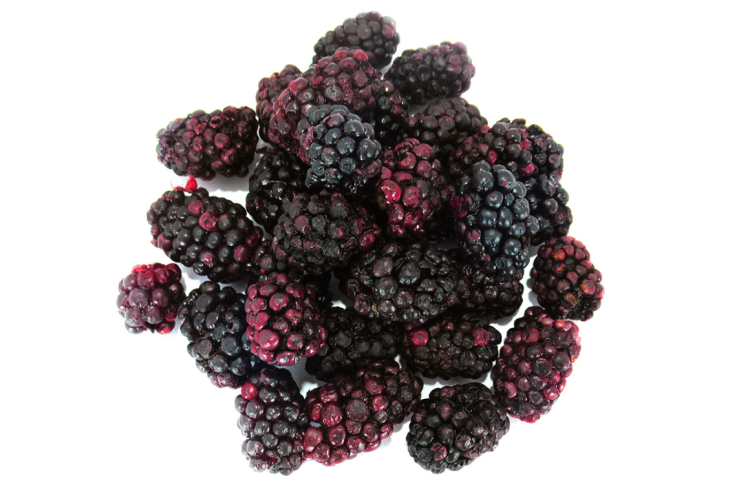 Křupavá lyofilizovaná ostružina pro hlodavce – přírodní ovocný pamlsek | 20 g od ParrotPlanet.cz