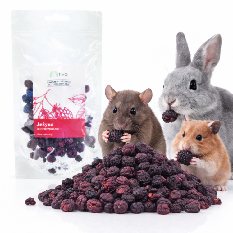 Křupavá lyofilizovaná ostružina pro hlodavce – přírodní ovocný pamlsek | 20 g od ParrotPlanet.cz