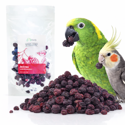 Křupavá ostružina – celé lyofilizované ovoce 20 g od ParrotPlanet.cz