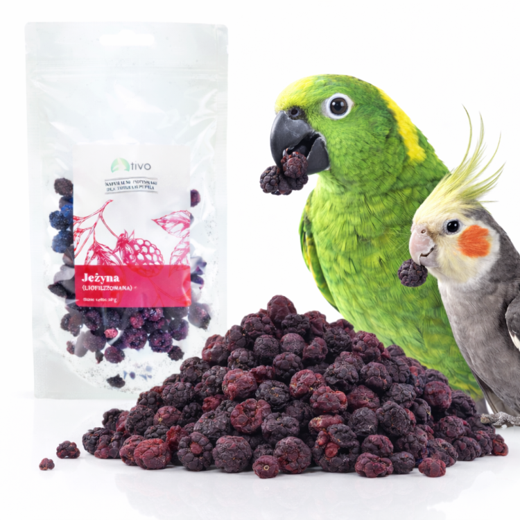 Křupavá ostružina – celé lyofilizované ovoce 20 g od ParrotPlanet.cz