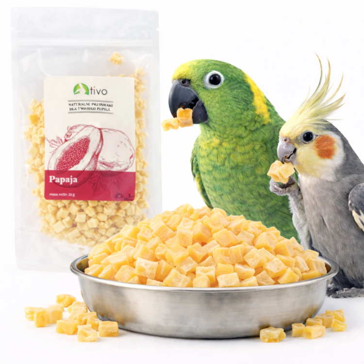 Křupavá papája – celý lyofilizovaný plod 20 g od ParrotPlanet.cz